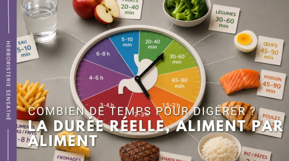 Combien de temps pour digérer  La durée réelle, aliment par aliment - Herboristerie Sensathé